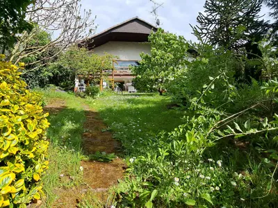 Einfamilienhaus Langenselbold - Seitenansicht mit Einfahrt